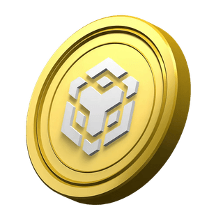 Decorative BNB coin featured within the platform information section